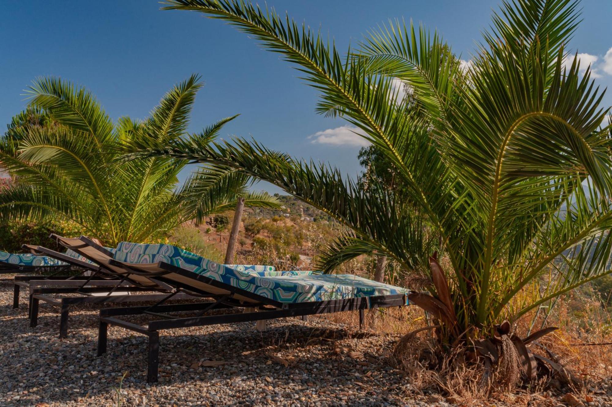 Nido Aguila Blanca Apart otel Guaro Dış mekan fotoğraf